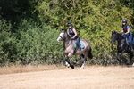 WJ6_8677