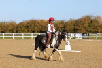 SBM_000180