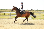 SBM_000997