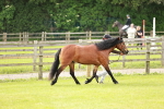 SBM_00434