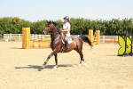 SBM_000335