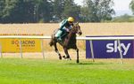 240726-Race 1-Martinet-00948