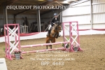 BPP_4443