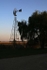 Windmill & Willow