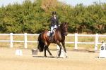 SBM_017682