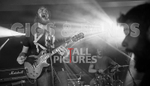 To the Woods-324