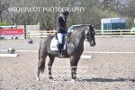 BPP_9497