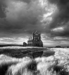 The Abbey