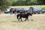 WJ6_7043