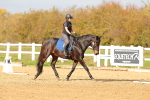SBM_001731