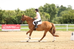 SBM_000333
