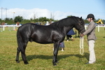 DSC04997