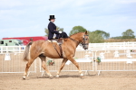 SBM_03284