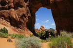 Pinetree Arch