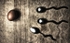 Egg & Spoon Race