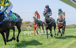 Guernsey Race Club Horse Racing 2018-33
