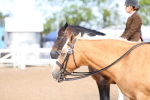 SBM_00356