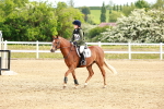 SBM_006541