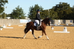 SBM_14186