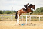 SBM_010335