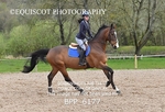 BPP_6177