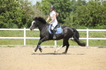 SBM_012432
