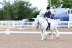 SBM_00278