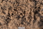 231101A-122658-00268