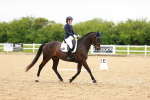 SBM_006887