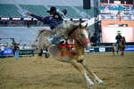 3HRodeo_PBR_All-Star_JUL_2026_0806