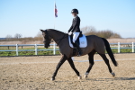 SBM_004429