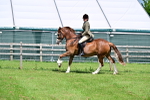 SBM_03754
