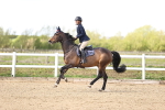 SBM_003690