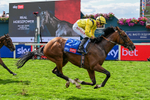 220826-Race 2-Infraad-9798