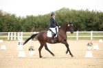 SBM_019176