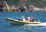140729 YELLOW RIB WT7A1943