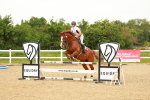 SBM_000768