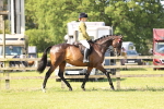 SBM_12965