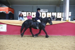 SBM_17937