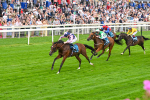 250725-Race 3-Amakhala Warrior-5733