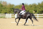 SBM_002148