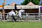 SBM_17538