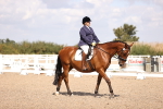 SBM_03638