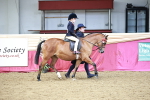 SBM_03063