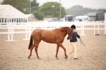 SBM_20113