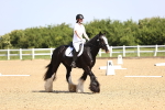 SBM_007824