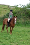 Class 9: Riding Club Horse/Pony portfolio