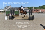 BPP_8533
