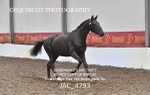 JAC_4793