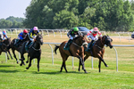 150726-Race 4-The Good Biscuit-3366